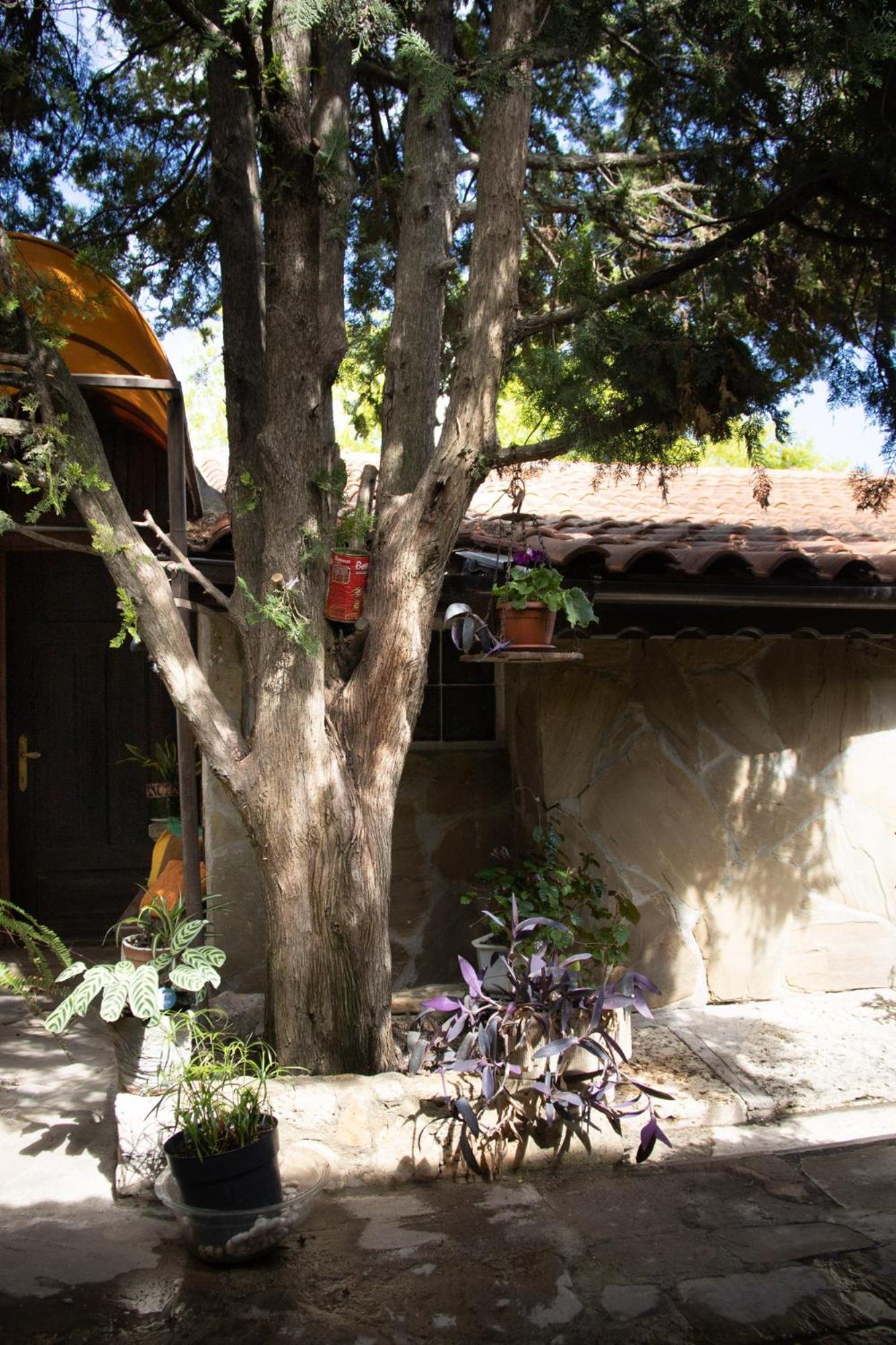 Старата баkалия The old grocery, guest rooms Балчик Екстериор снимка